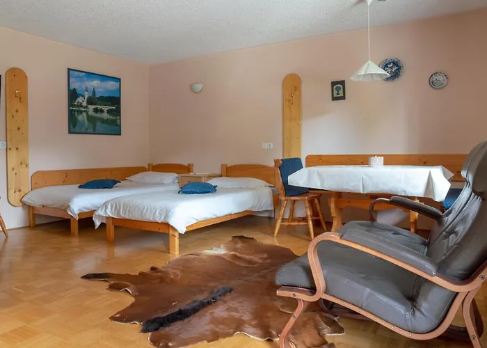 Maja By The River アパート ボーヒニ