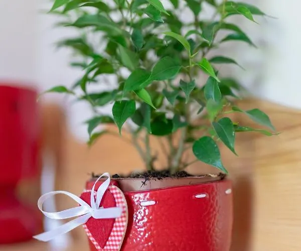 Maja By The River 公寓