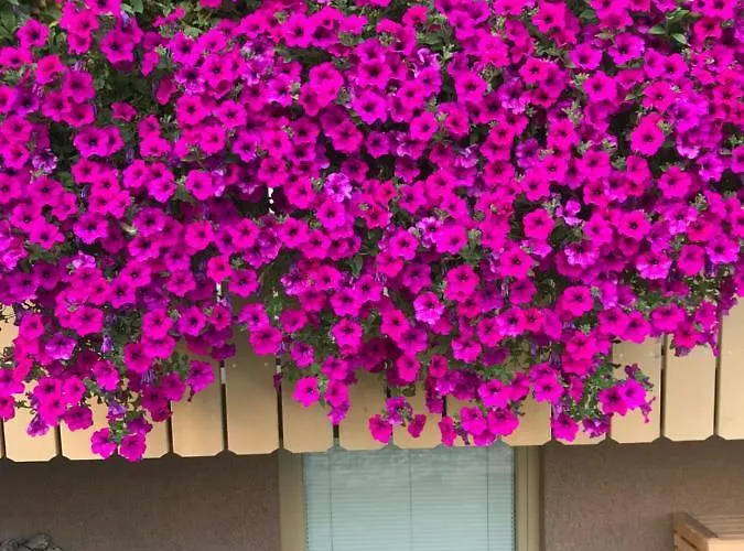 Maja By The River * 博希尼